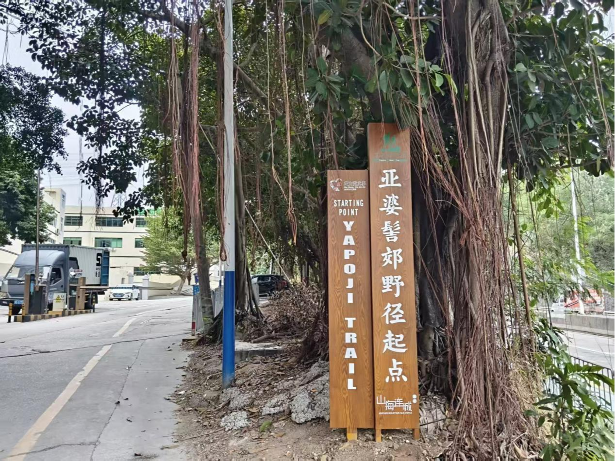 徒步更安心！石岩宝源社区郊野径升级改造完工啦