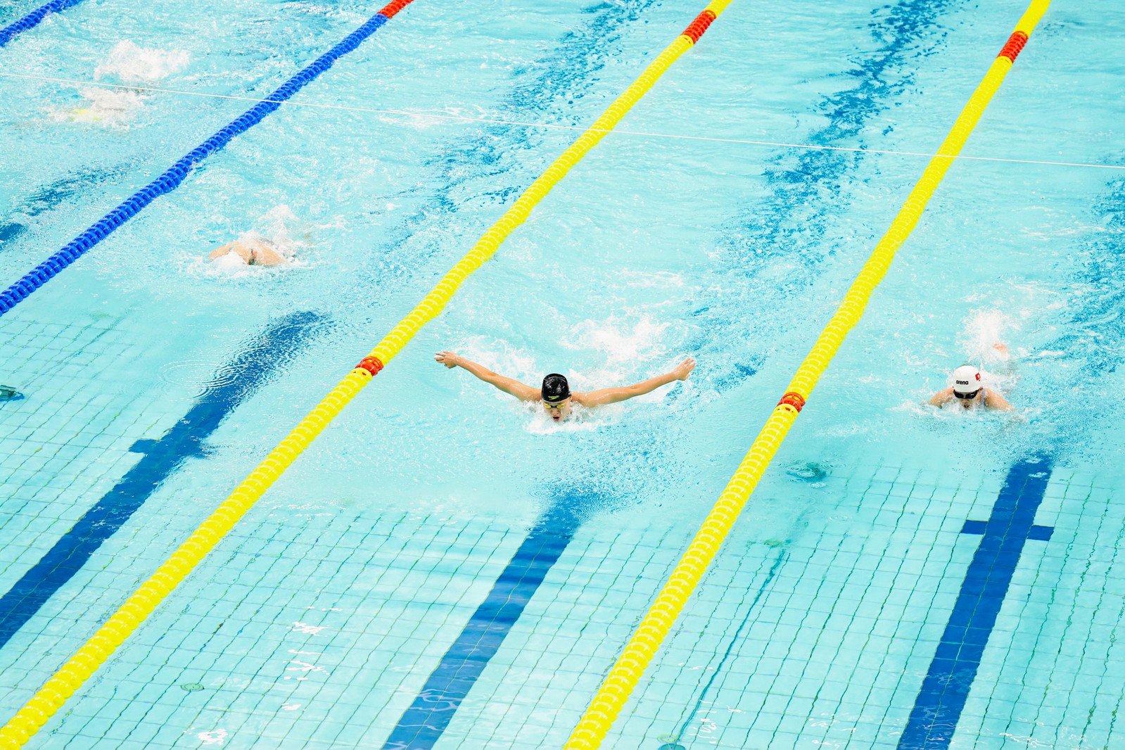 有逆转有圆梦更有纪录刷新 残特奥会游泳项目收官日高光频现