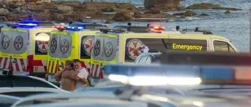 已致16死42伤,两名枪手为父子关系