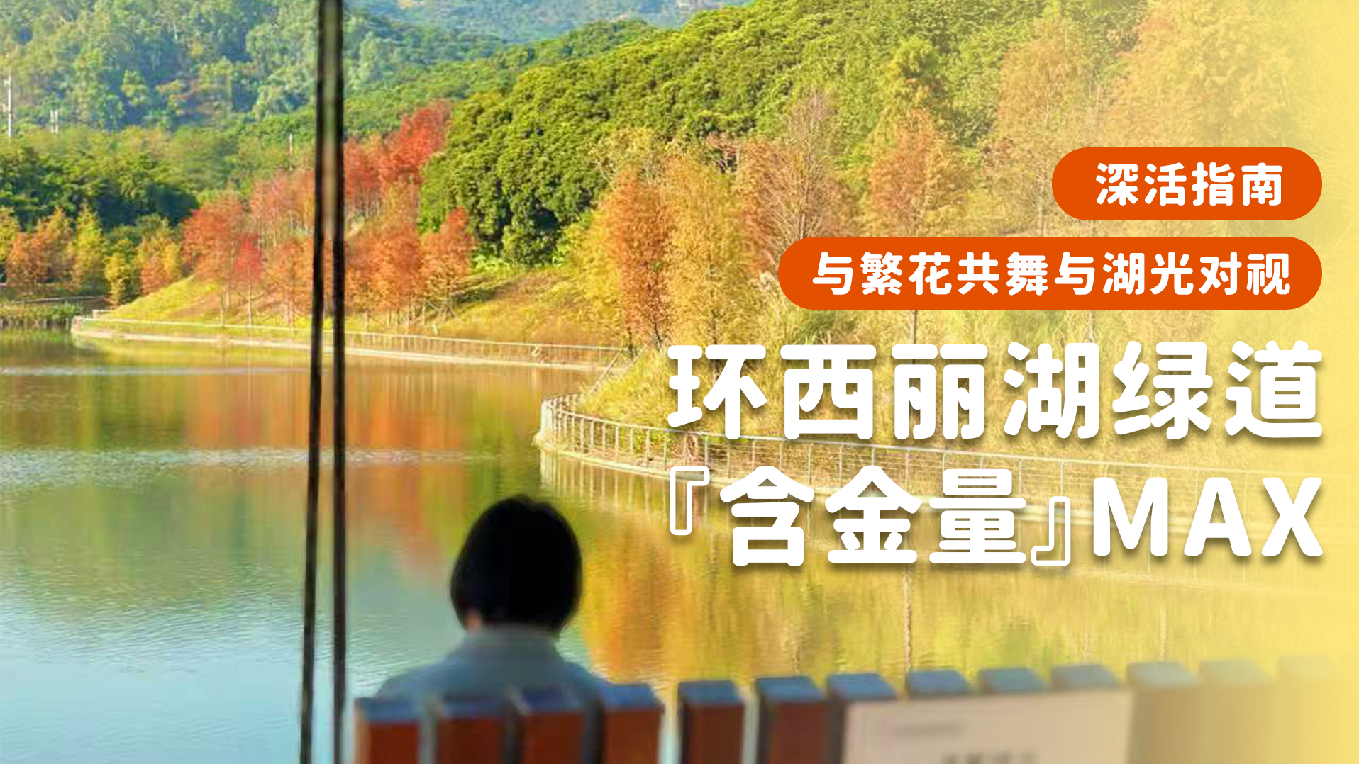 深活指南 | “走吧，到深圳最具含金量的绿道秋游去！”