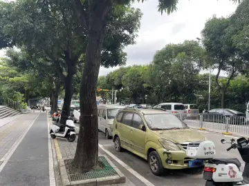 “僵尸车”占领市政路、公共停车场、未移交道路，记者实地走访→丨有料