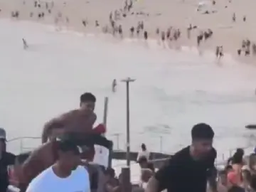 澳大利亚邦迪滩枪击事件已致12人死亡,一名枪手身份已确认|滚动更新