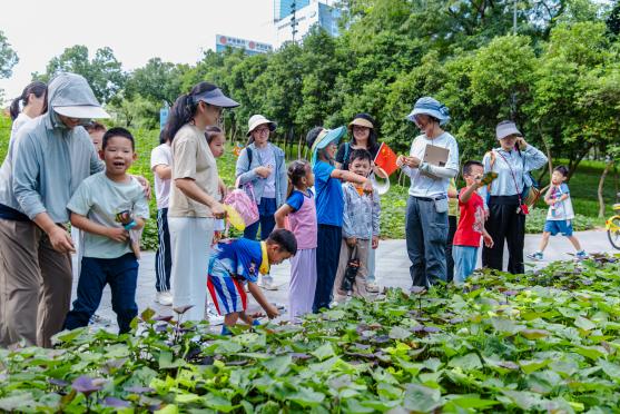 “有点意思”创意大赛点亮福田嵌入式公共文化空间，三大一等奖项目惠及逾万人次