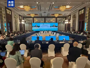 APEC“中国年”的定音鼓在深圳敲响:2026,共赴鲲鹏之约