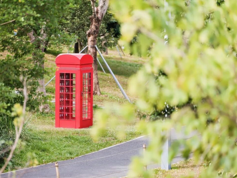 21个打卡点等你解锁！第三届深圳·光明国际公共艺术季开展