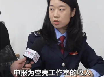 网络车评人陈震偷税被查，税务部门公布案件细节