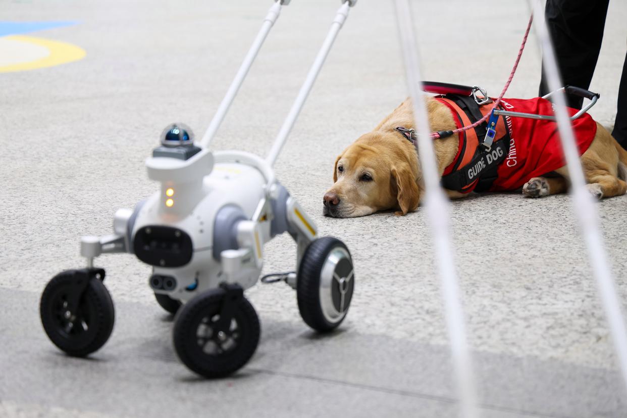 读特热评 | 一只“智能导盲犬”，牵出深圳“无障碍”的温度