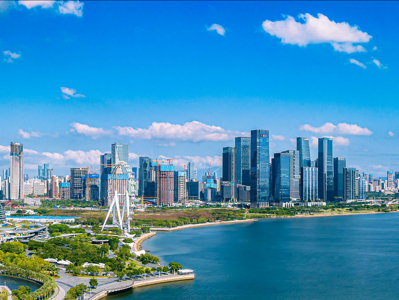 共赴科学之约 赋能产研共融｜聚焦大湾区科学论坛