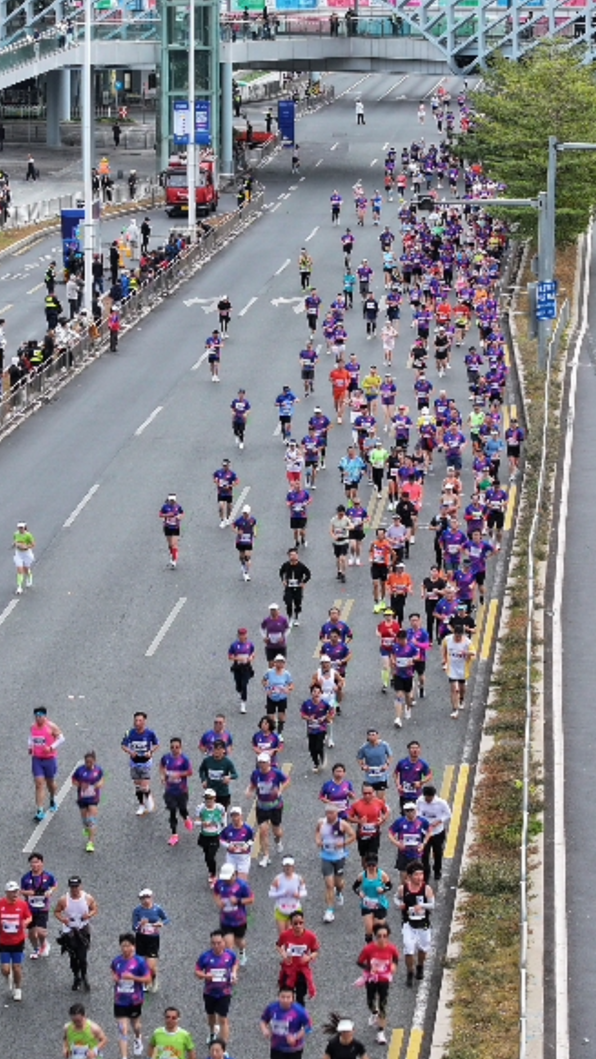 群星助阵，刷新纪录！2025南山半马2万跑者畅跑山海之间 