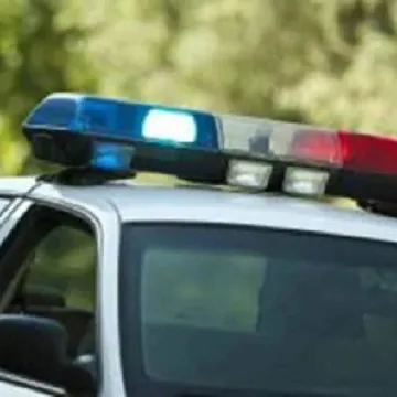 潮州一公园内男子搂抱女童，官方通报：刑拘！