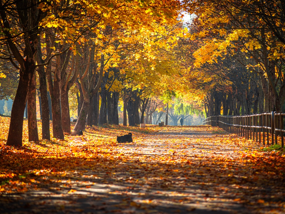 温度记｜深圳回暖了！今明两天舒适宜人，但本周五起阴雨+冷空气“排队”赶来