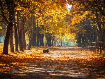温度记｜深圳回暖了！今明两天舒适宜人，但本周五起阴雨+冷空气“排队”赶来