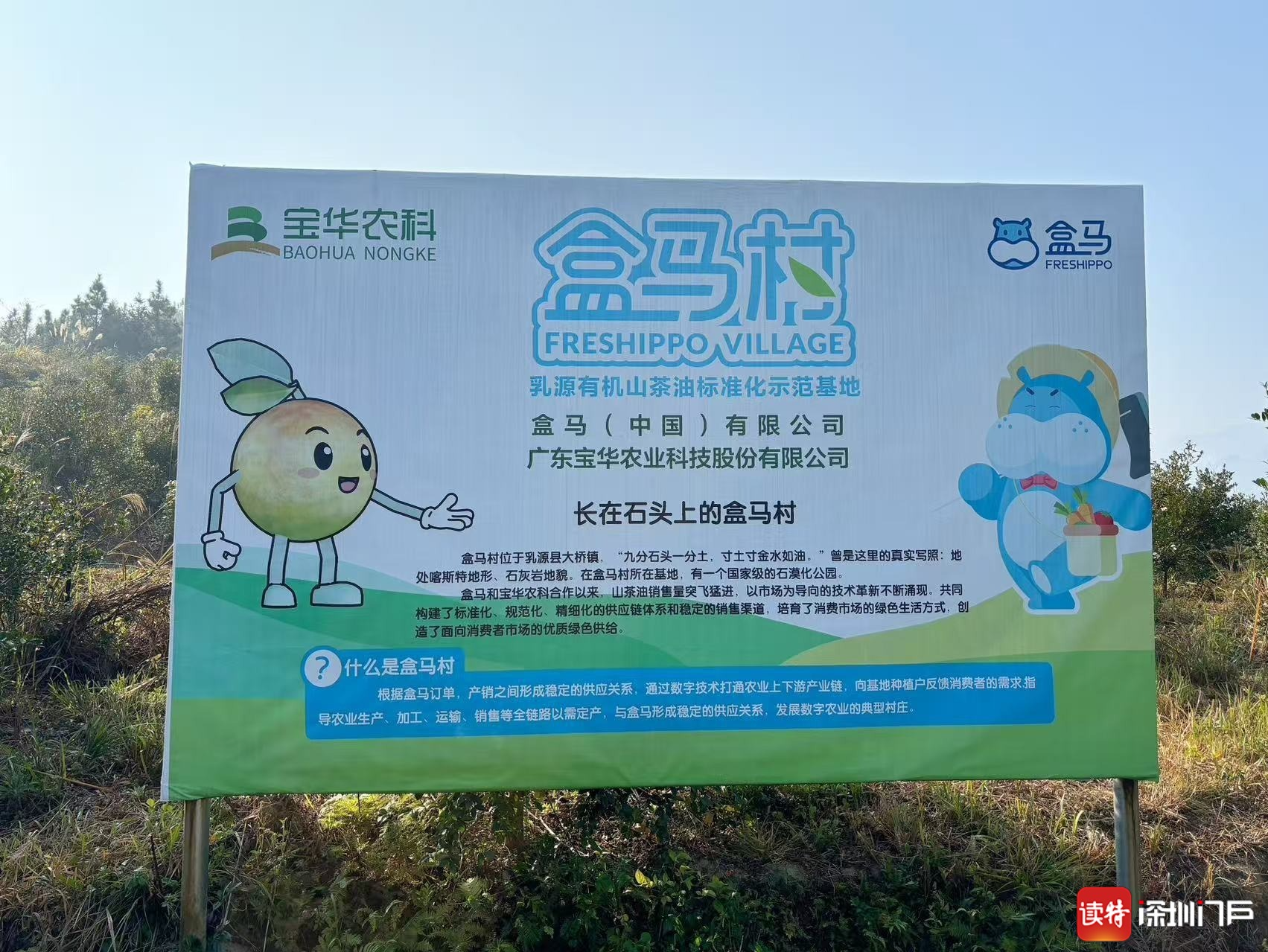 从餐桌到妆台，一滴山茶油如何在盒马村“闯关变身”？