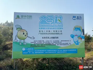 从餐桌到妆台,一滴山茶油如何在盒马村“闯关变身”?