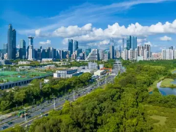 快评｜《奇迹》之《红树流年》：筑起高楼亦留住生态底色