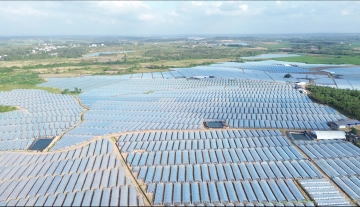 全国最大的深农果蔬种植基地：自贸岛上，深企“种”下万亩果蔬大棚