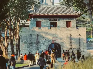 深圳“南山八景”评选正式启动,快来pick你心中的宝藏地