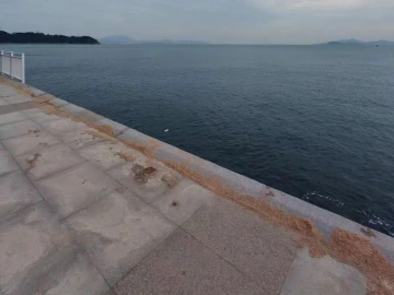 深圳网友称“小梅沙栏杆全拆了”，官方回应：系台风后修复