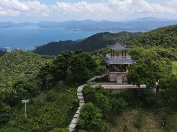 深圳远足径规划获国际荣誉奖 全市建成约900公里远足径