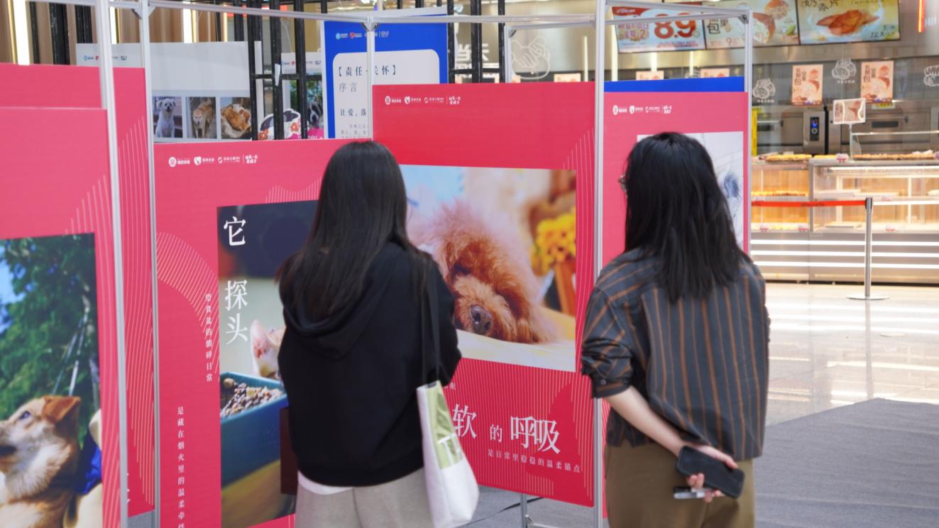 与它们共处“同一片屋檐下” 福田区举办文明养宠主题摄影展
