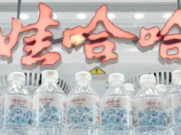 娃哈哈集团被起诉