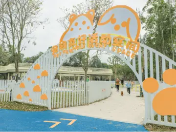 建设“疯狂动物城”，宝安这样做……