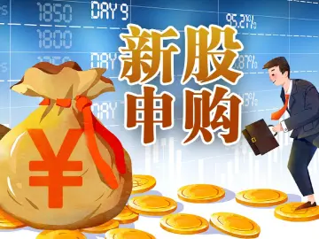 国产GPU龙头,本周申购!