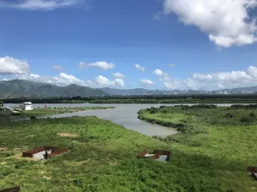 森林占全市面积40.7%，深圳全面完成第二次全市陆域生态调查评估