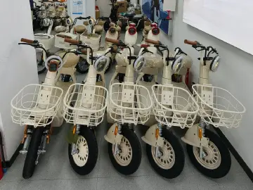 官方回应新国标电动车四大争议，线下门店合规新车型加速到位