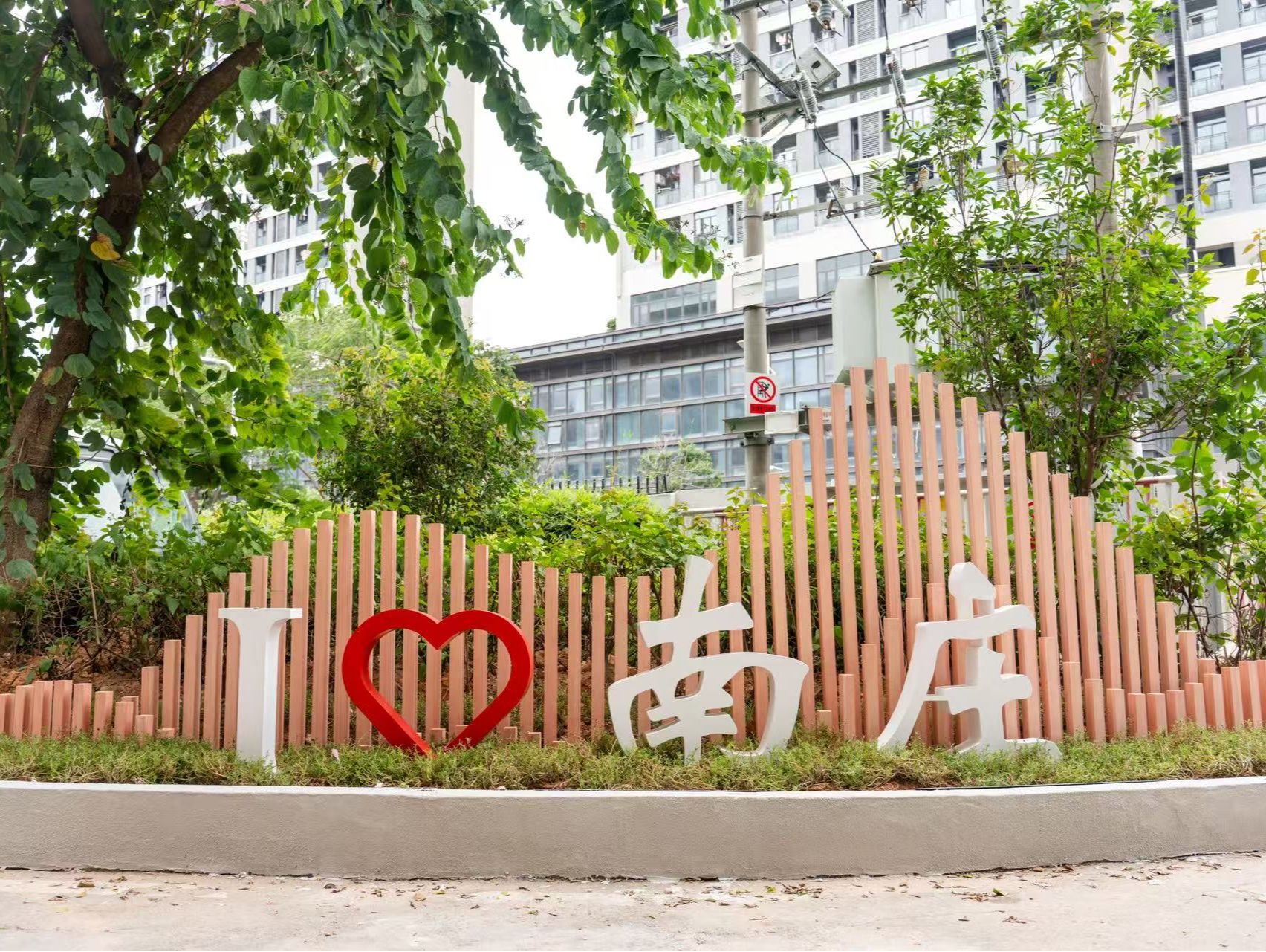 光明南庄社区百年古榕“开墙通路”焕新生  居民出行更畅达