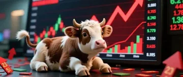 摩尔线程，半日成交125.9亿元，单签收益约27万元，刷新年内纪录！福建本地股掀涨停潮，合富中国26天15板！