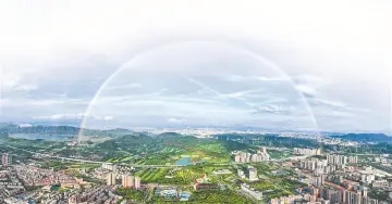 场景赋能，聚贤引才！光明区绘就“近悦远来”发展新图景