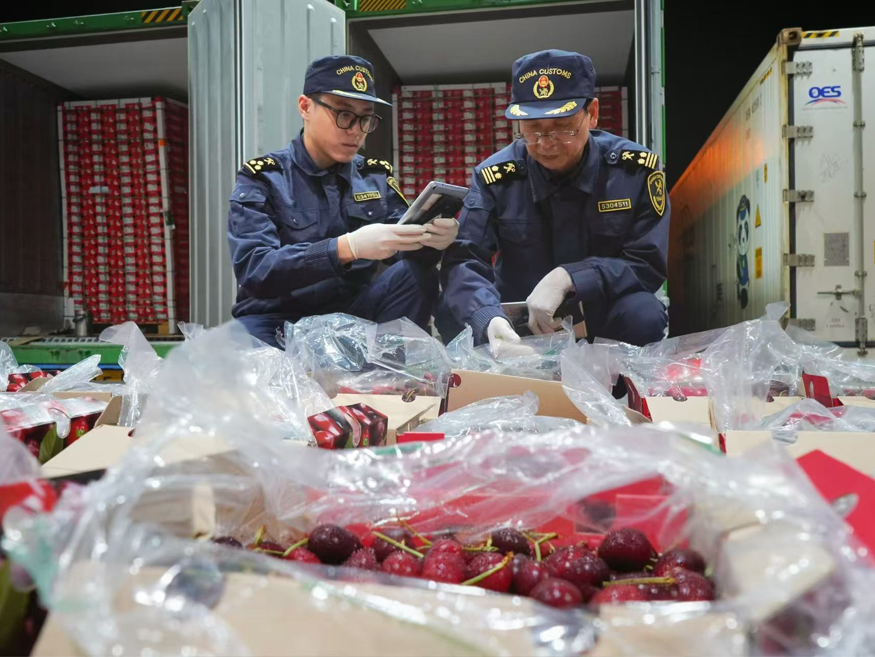 抢占“鲜”机！全国首批海运进口智利樱桃“甜蜜”抵深