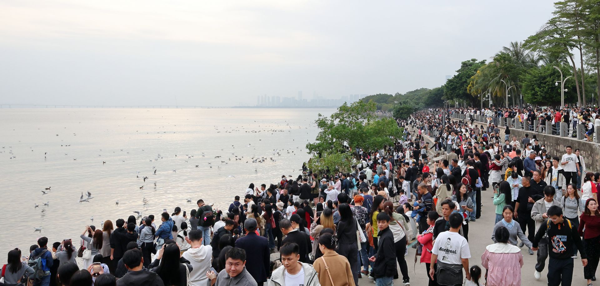 美丽深圳·每日一图｜2025年12月2日