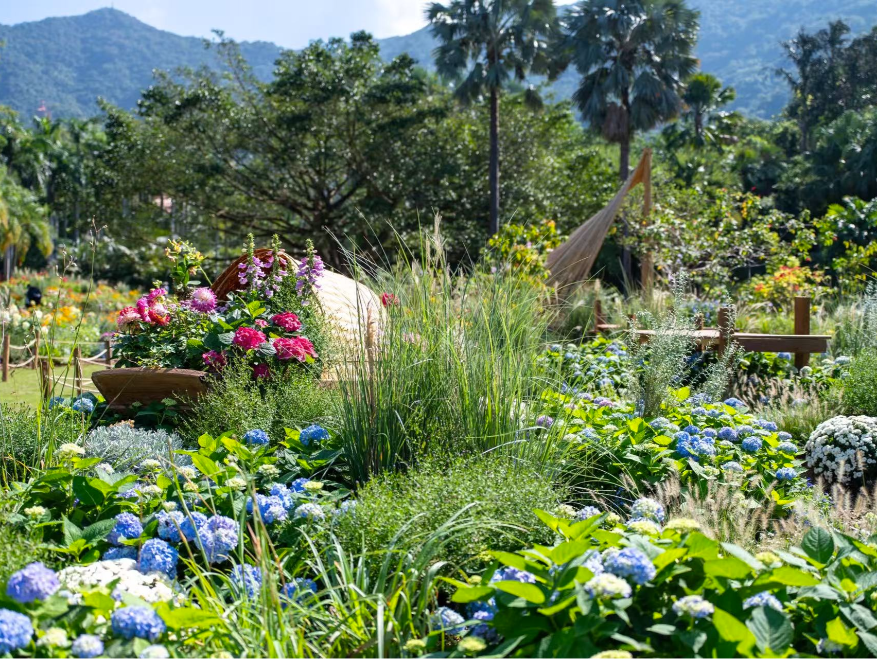 多地迎来首个“雪假”，南方城市成为热门目的地，深圳上榜TOP10