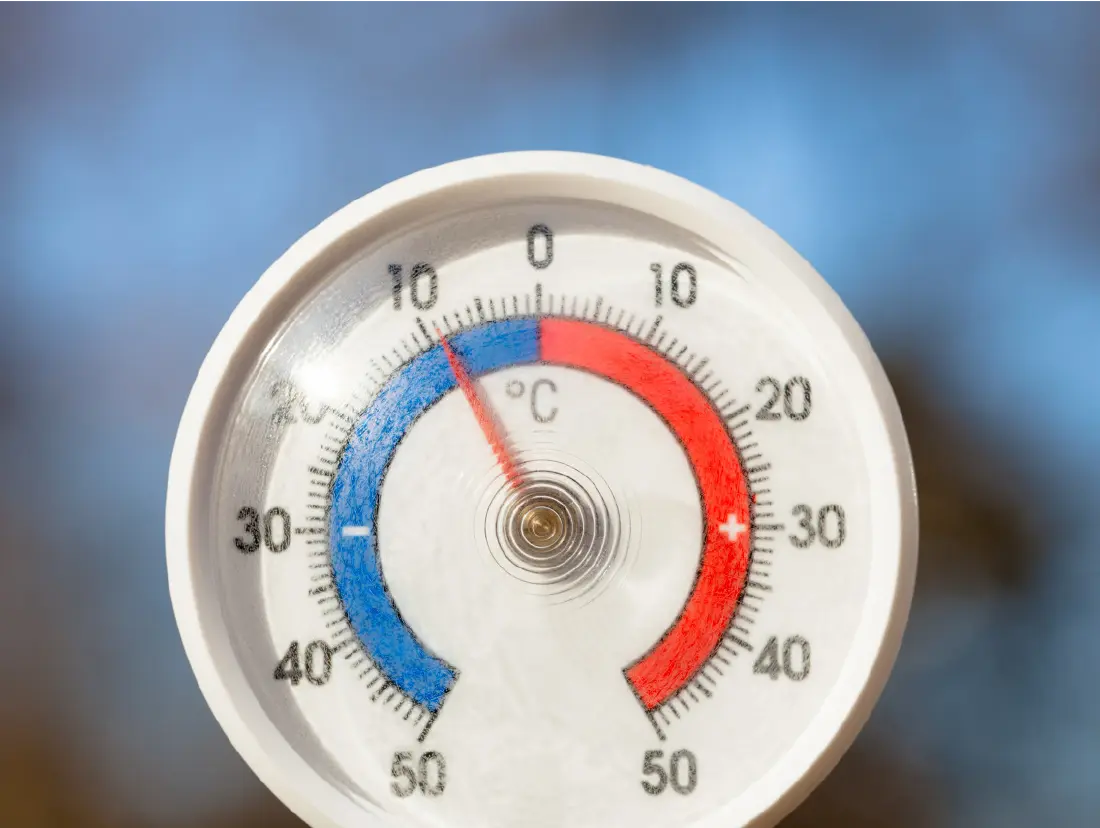 冷空气已“到货”！深圳最低温12°C