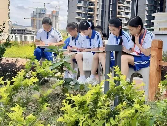 “减屏增绿”行动见实效！南山这所小学近视率半年下降4.4%！