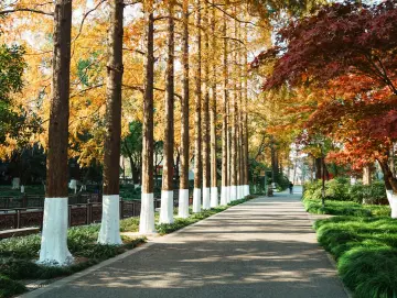 温度记 | 最低12℃！深圳人请注意，周末降温、大风和降雨套餐齐至