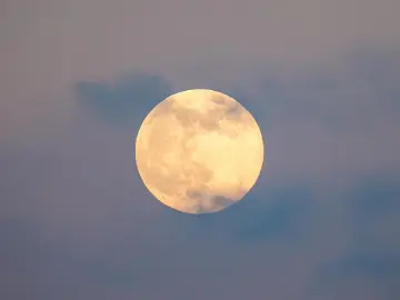 记得抬头看！2025年最后一次“超级月亮”即将登场