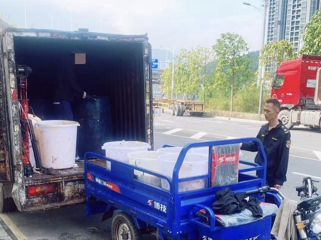 高架桥底藏“黑窝”!碧岭街道雷霆捣毁非法厨余垃圾点,守住市民“舌尖安全”