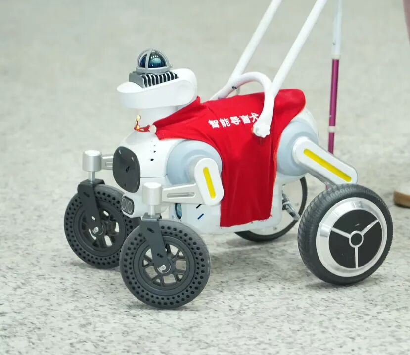 评论 | 深圳全球首例轨道交通智能导盲犬生动回应了库克之忧