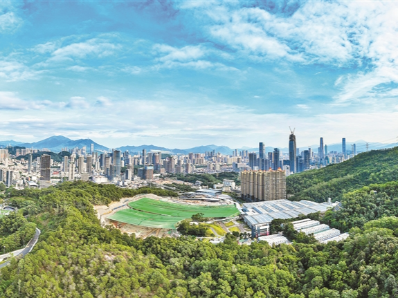 人们为何关注深圳这座“垃圾山”？专家：超大城市中心“刮骨疗毒”手术尚无先例