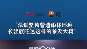 晶报10分钟丨深圳坚持营造雨林环境，长出欣旺达这样的参天大树