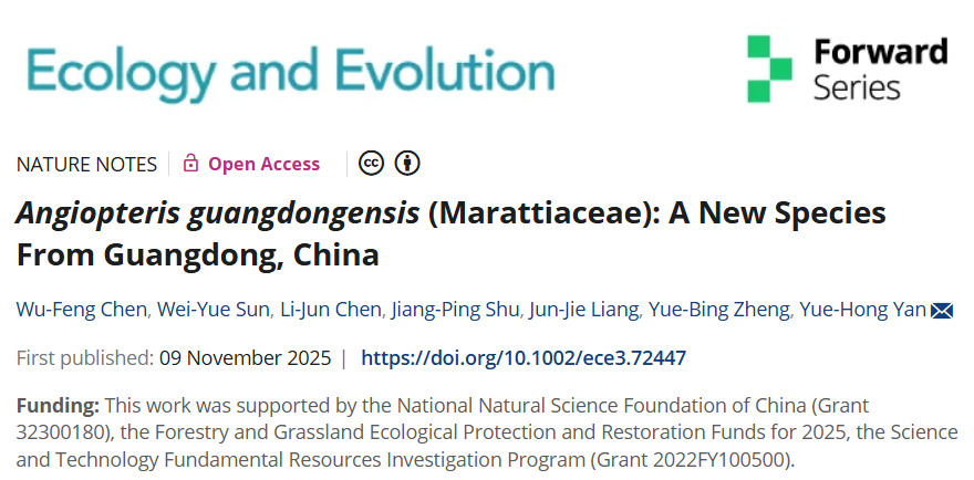 全球首次在粤解锁“广东观音座莲” 新物种,华大智造科技赋能