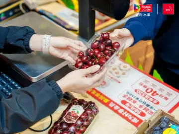 23天跨越2万公里，2025-2026产季全国首条智利车厘子快线抵达广州