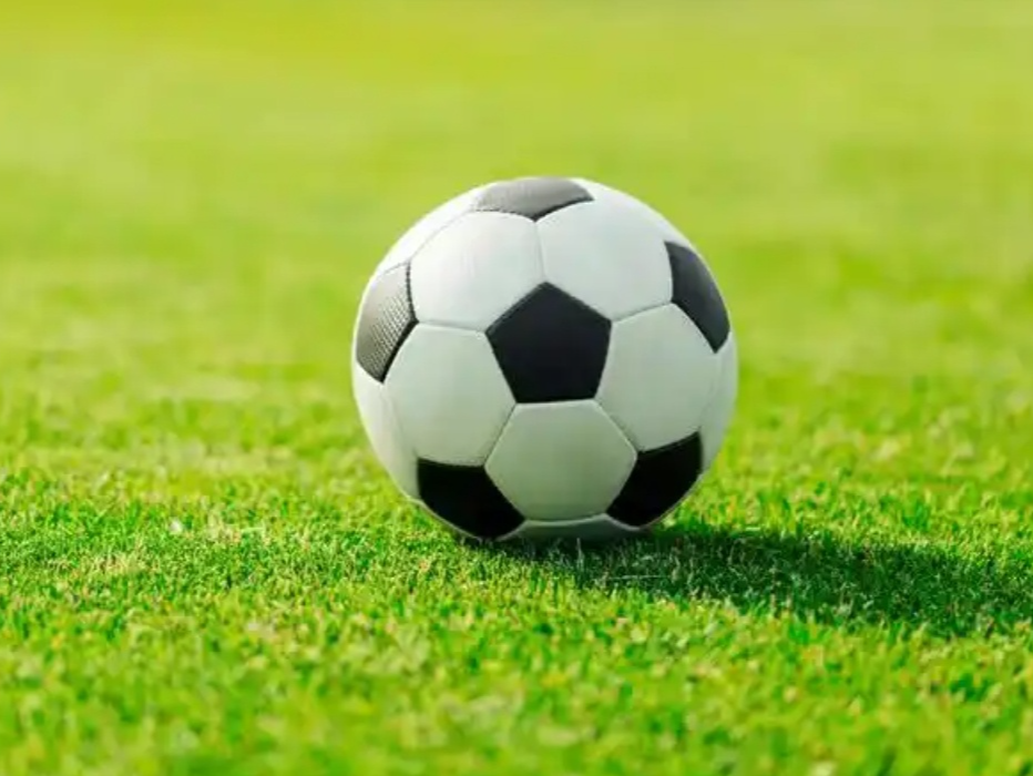 2025中国金球奖候选名单揭晓