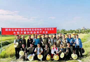 深圳农业科技帮扶结硕果，汕头陇田镇推广农作物优良品种5000亩助农增收