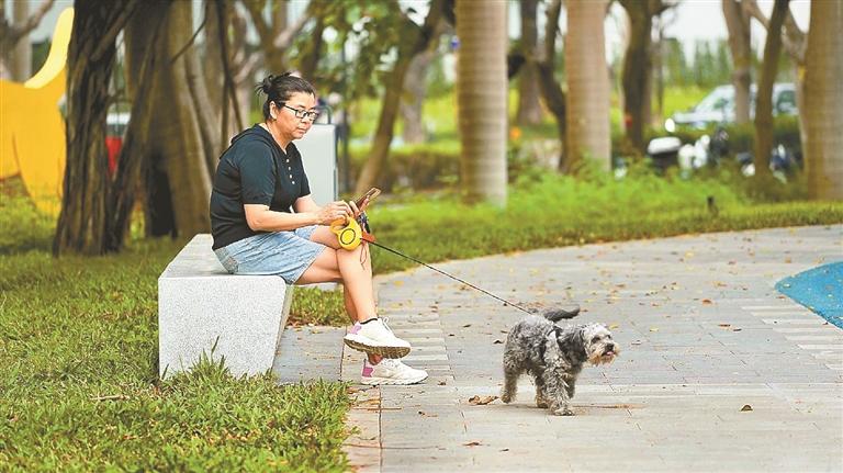 遛狗不牵绳 当心被拘留