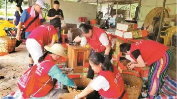 “别怕，深圳帮你！”从7年前的“救命荔枝行动”看一座城的善举