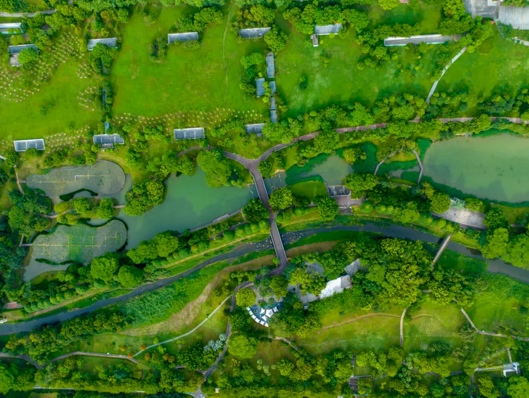 即将迈入APEC“中国年”，深圳向全球发出“城市合伙人”邀请 